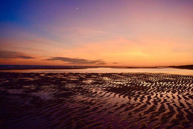 Tide-pools-AdobeStock_287490476A-med-lo Tide-pools-AdobeStock_287490476A-med-lo