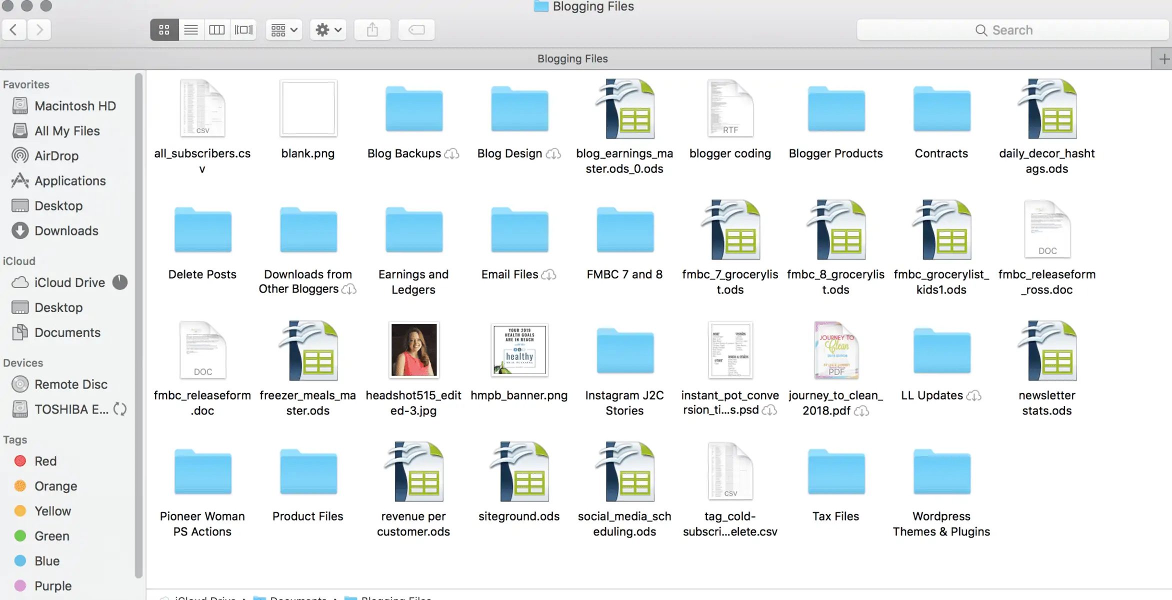 screenshot of folder view on a mac.