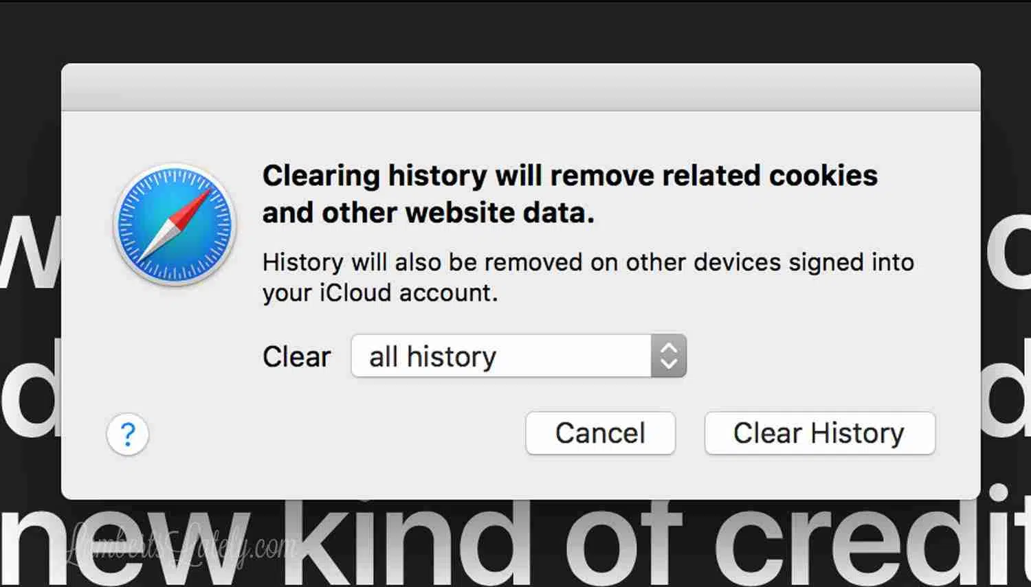 window to erase cookies in safari browser.