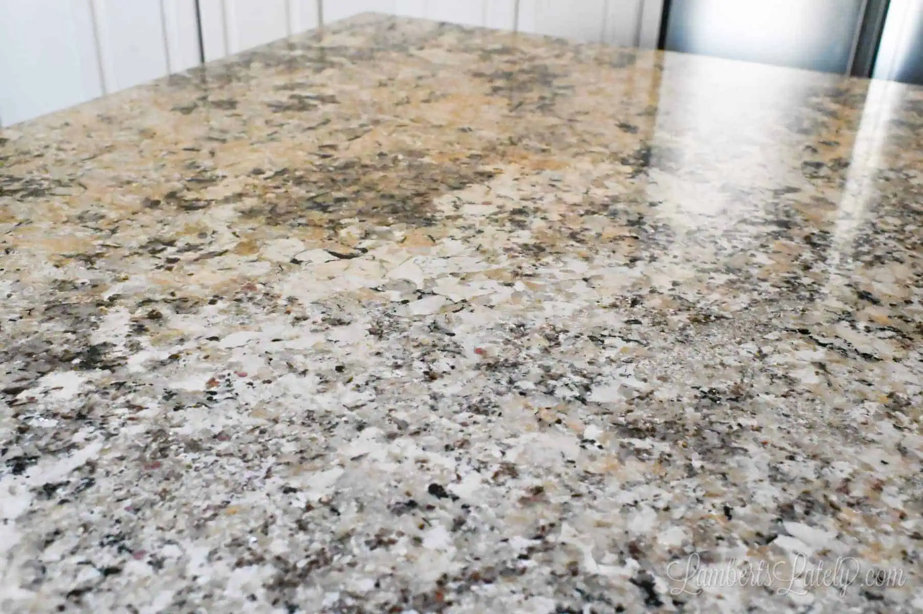 alaska white granite countertop.