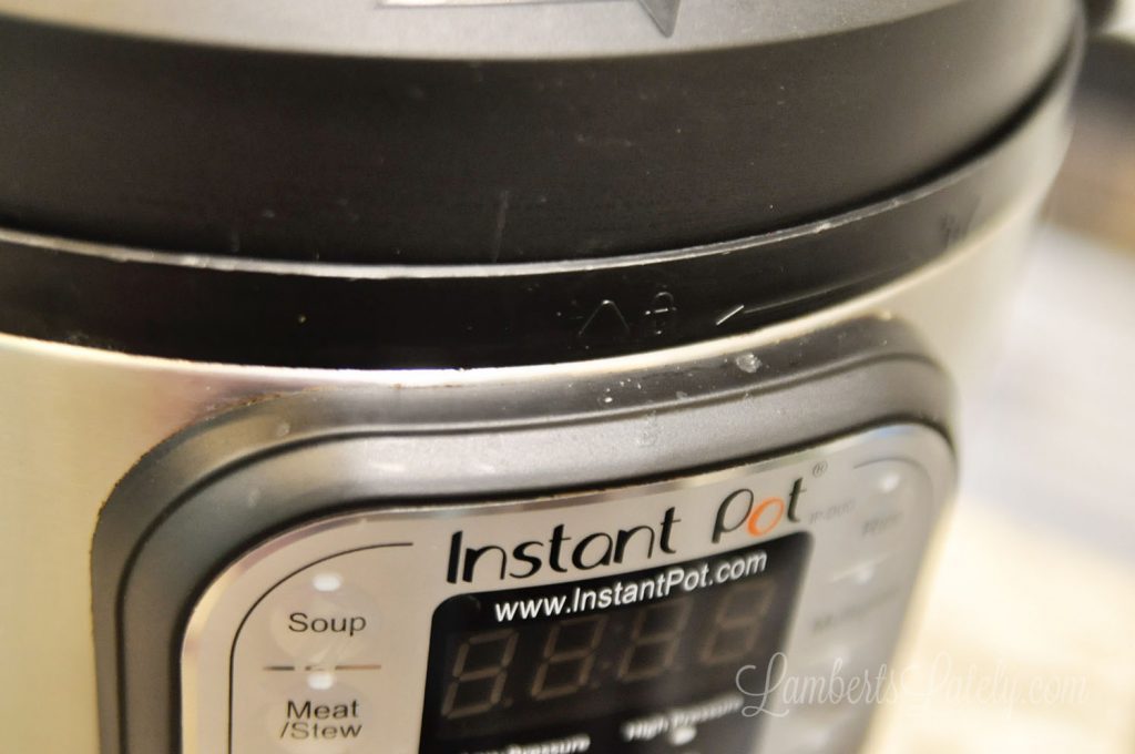 This post shows how to clean an Instant Pot with a simple vinegar and water solution (and even what you can and can't put in the dishwasher). See how to clean the lid, base, and inside easily.