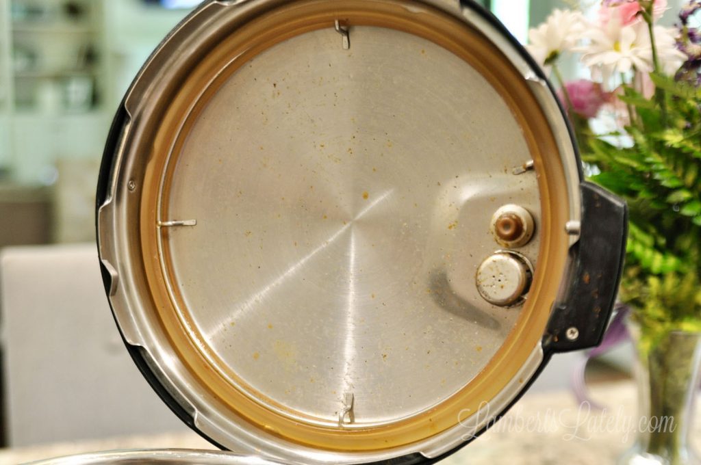 dirty lid of an instant pot.