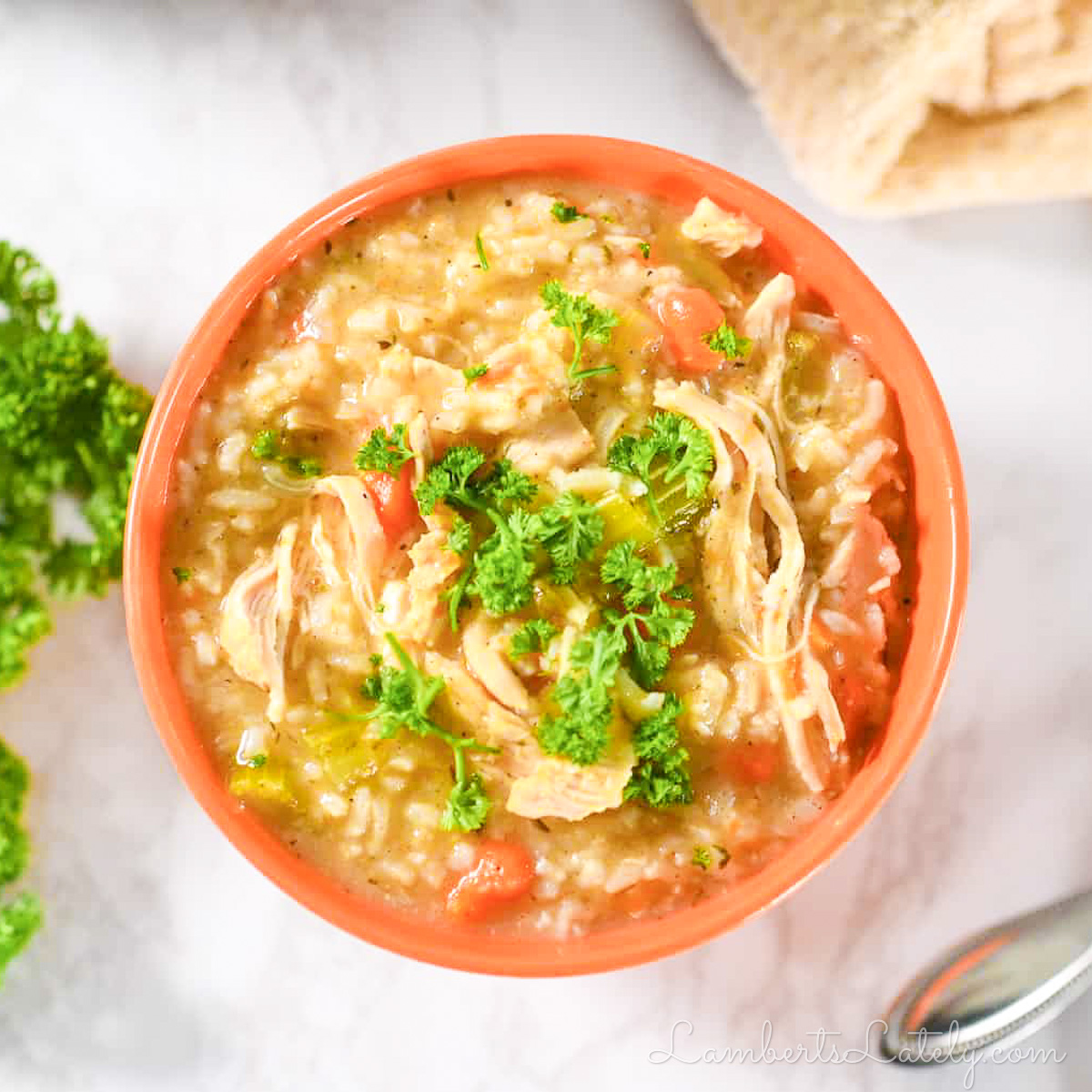 Instant Pot Chicken and Rice Soup