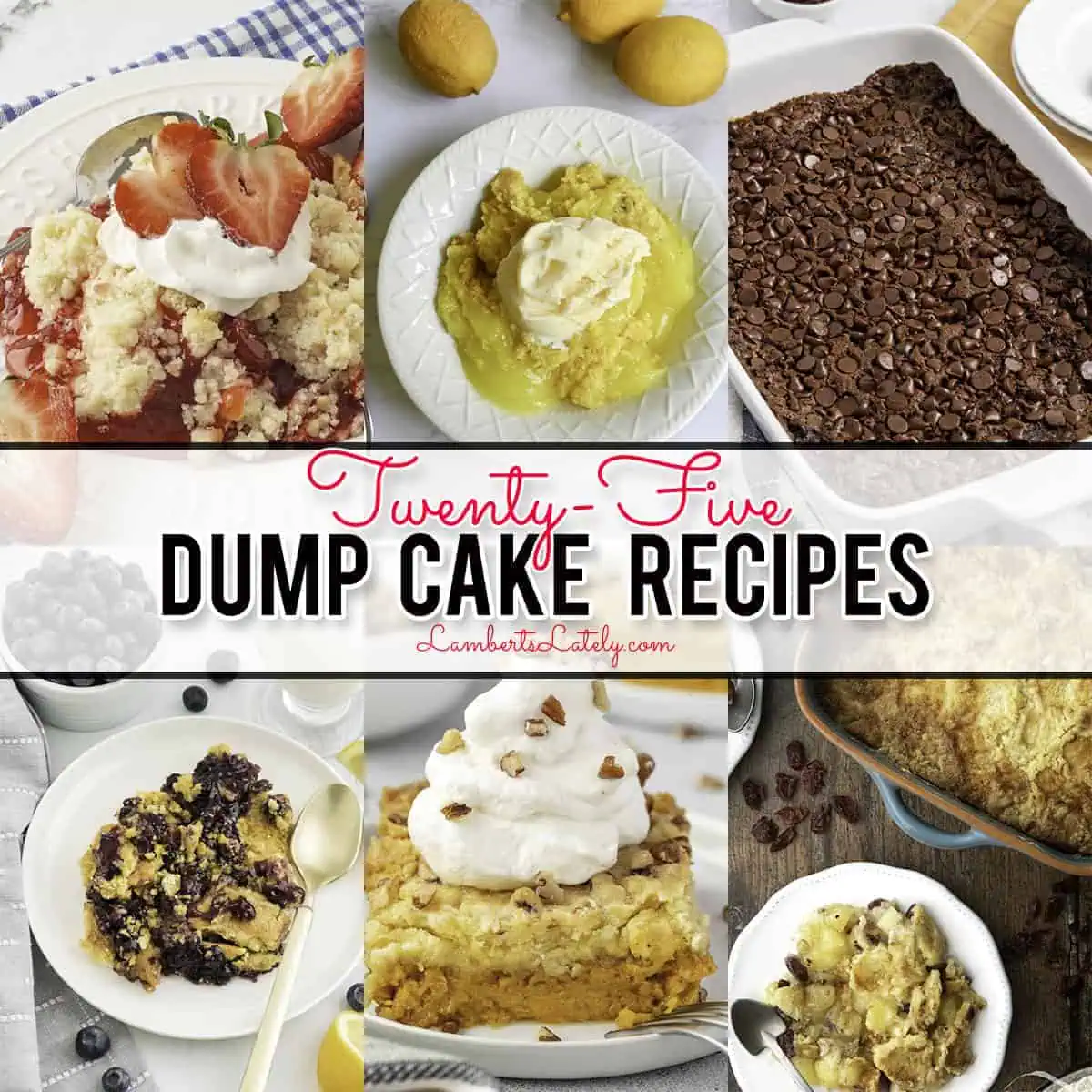 25 Delicious Dump Cake Recipes