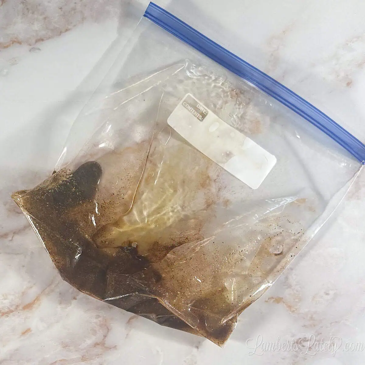spices and olive oil in a plastic bag.