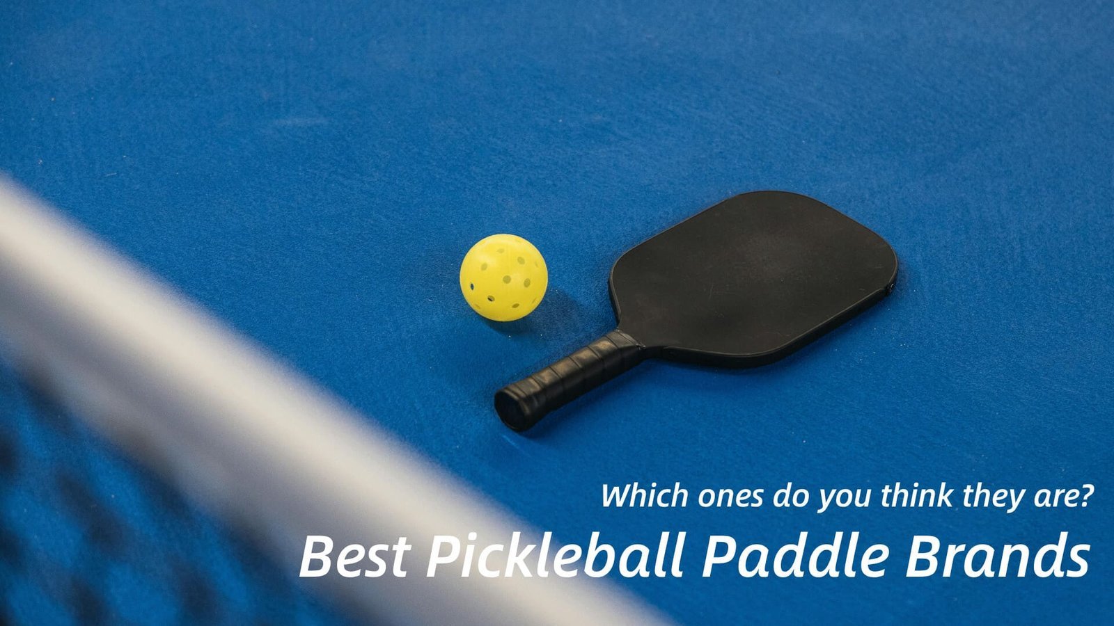 Best Pickleball Paddle Brands