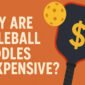 Why Are Pickleball Paddles So Expensive