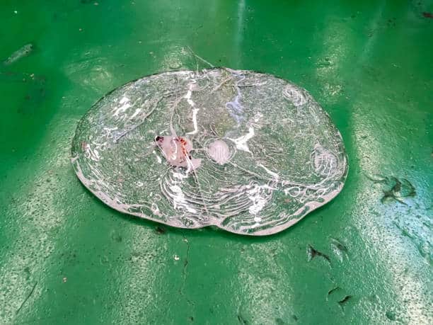 Acrylonitrile Butadiene Styrene Market