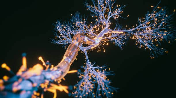 Amyotrophic Lateral Sclerosis Drugs