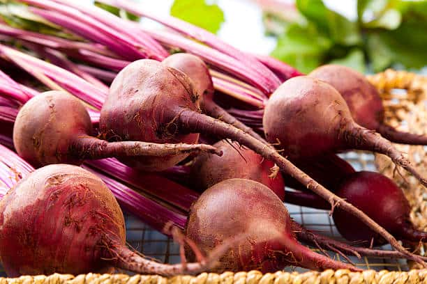 Betaine Market