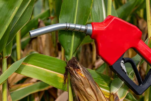 Bioethanol Market