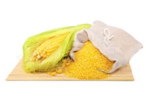 Corn Gluten Feed Market