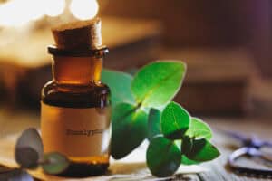 Eucalyptus Essential Oil