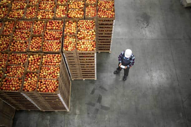 Fresh Food Packaging Market