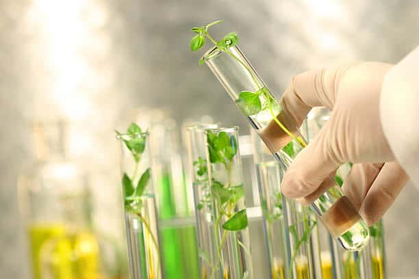 Green Chemicals Market