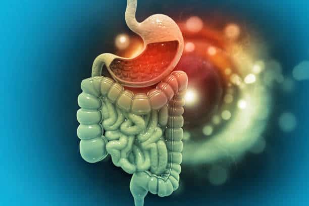 Gut & Digestive Health Market