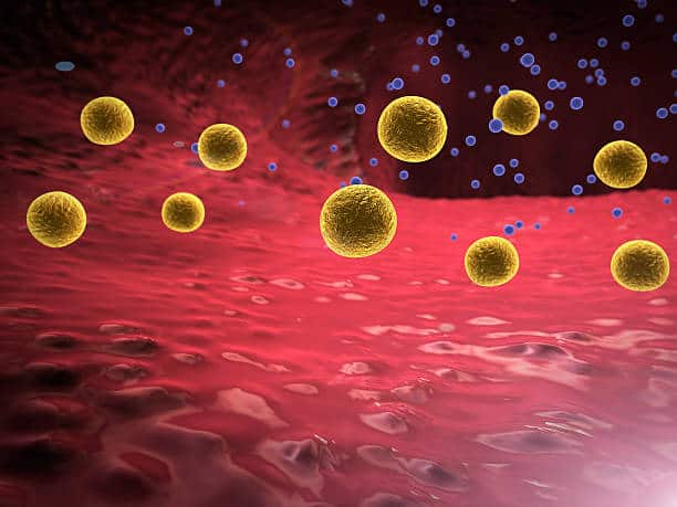 Hydrocolloids Market