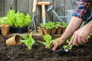 Lawn & Garden Equipment Market