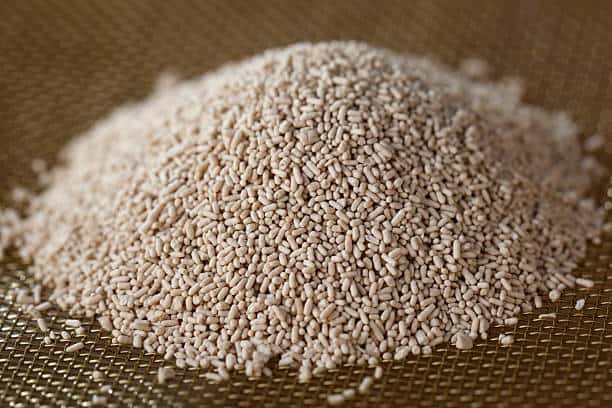 Molecular Sieve Catalyst