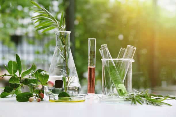 Natural and Organic Cosmetics