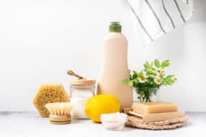 North America Green Cleaning Products