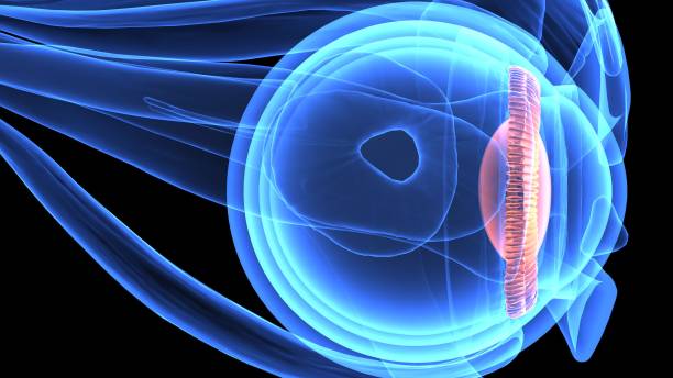 Ophthalmology Amniotic Membranes