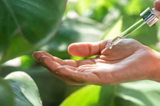 Organic Acids Market
