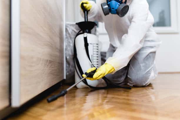 Pest Control Market