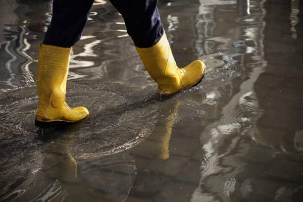 Rain Boots Market