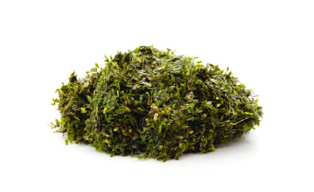 Seaweed Extract Market