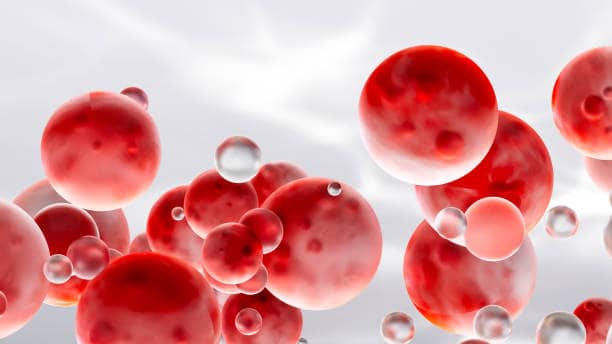 Solid Microspheres