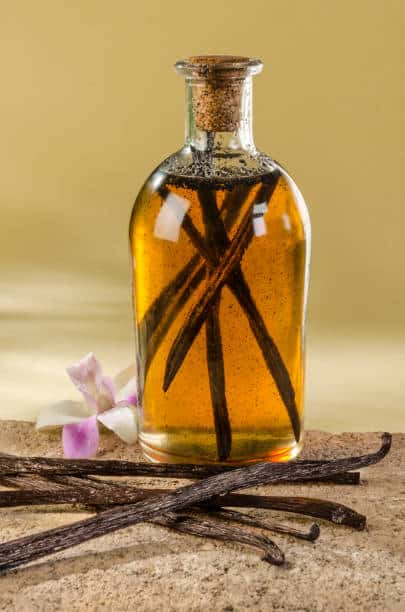 Vanilla Beans and Extract Market