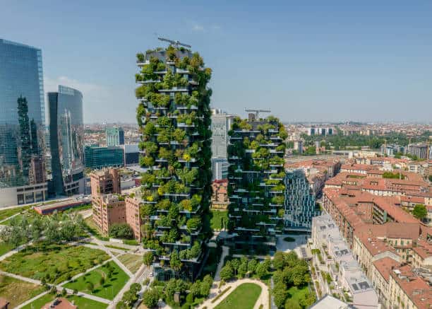 Vertical Forest Market