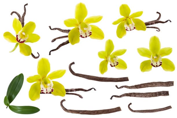 istockphoto-1150268429-612x612