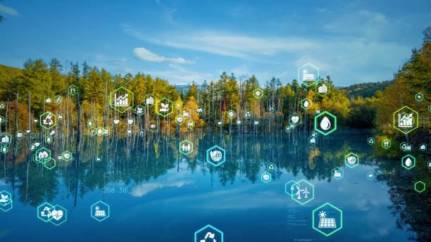 istockphoto-1329831690-612x612