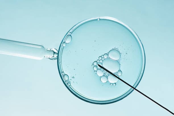 Ovulation Microscope Market Estimated at USD 145.5 Million by 2034: Precision Tools Empowering Women’s Health