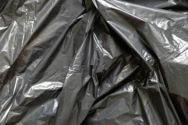 istockphoto-1433025742-612x612