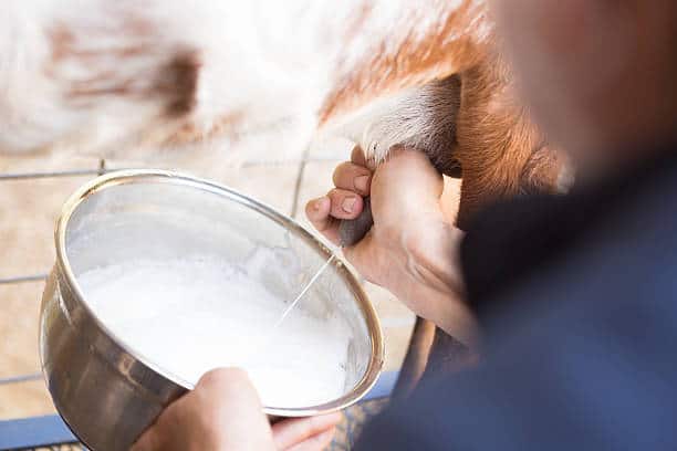 istockphoto-172457429-612x612