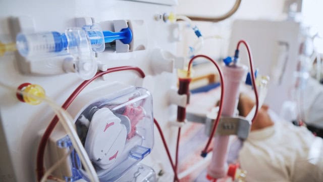 Bloodlines Market Insights: Strategic Growth Forecast and Projections (2025-2035)