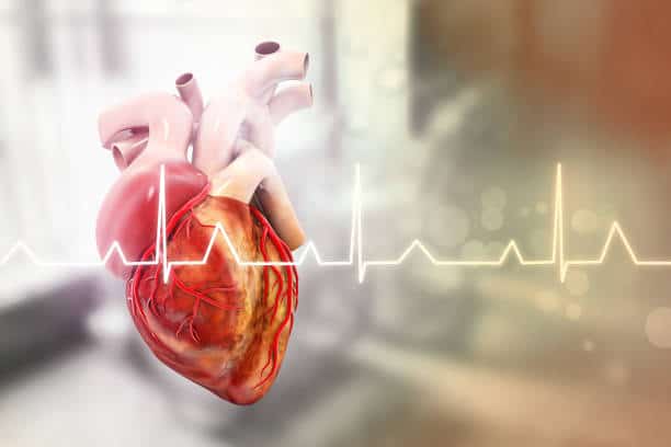 Artificial Organ