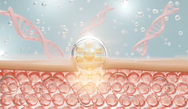 Bioengineered Skin Substitutes Market