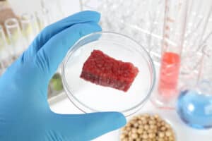 Bovine-based Collagen for Biomedical Applications Market