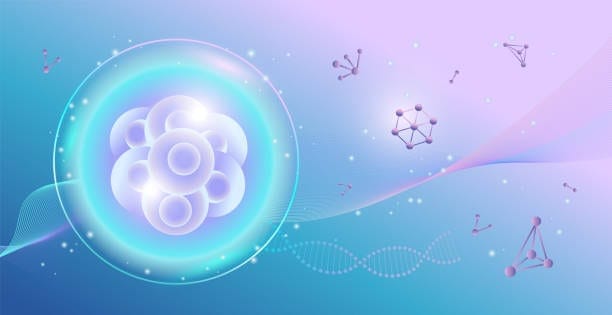 Cell Therapy Manufacturing