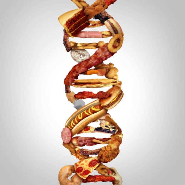 Epigenetics