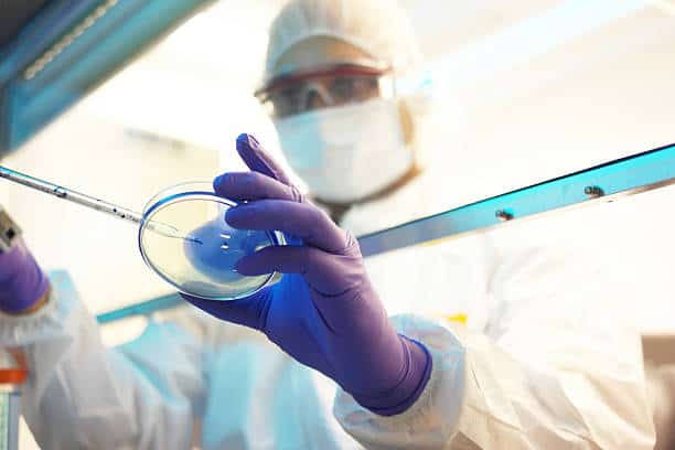 Genome Engineering