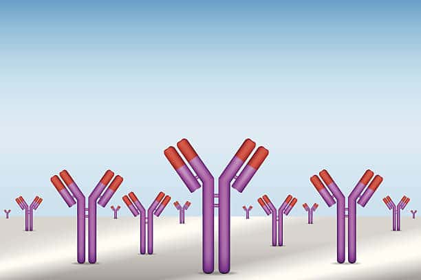 Immunodiagnostics Market