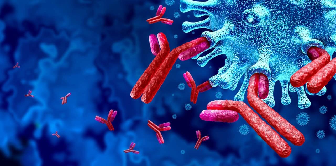 Immunoglobulin 1