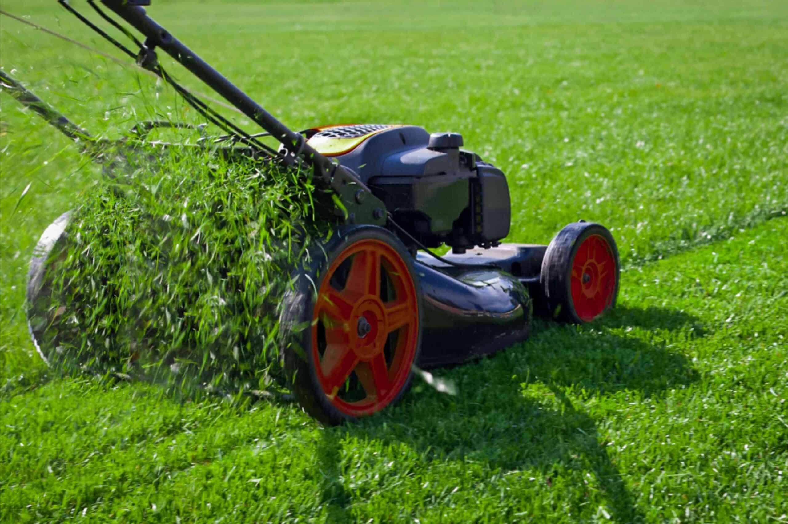 Lawn Care Products Market4