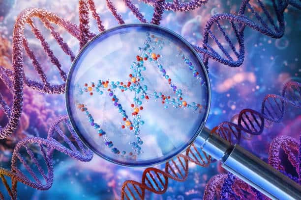 MicroRNA Market