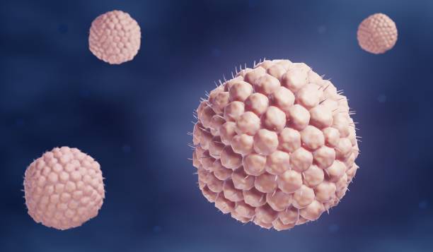 Organoids and Spheroids Market